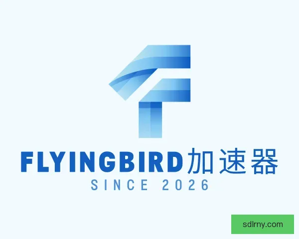介绍flyingbird 飞鸟机场官网